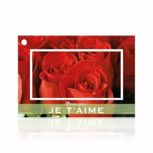 Carte Parce que je t'aime à photo de roses rouges et bandeau vert pour bouquet de Saint-Valentin