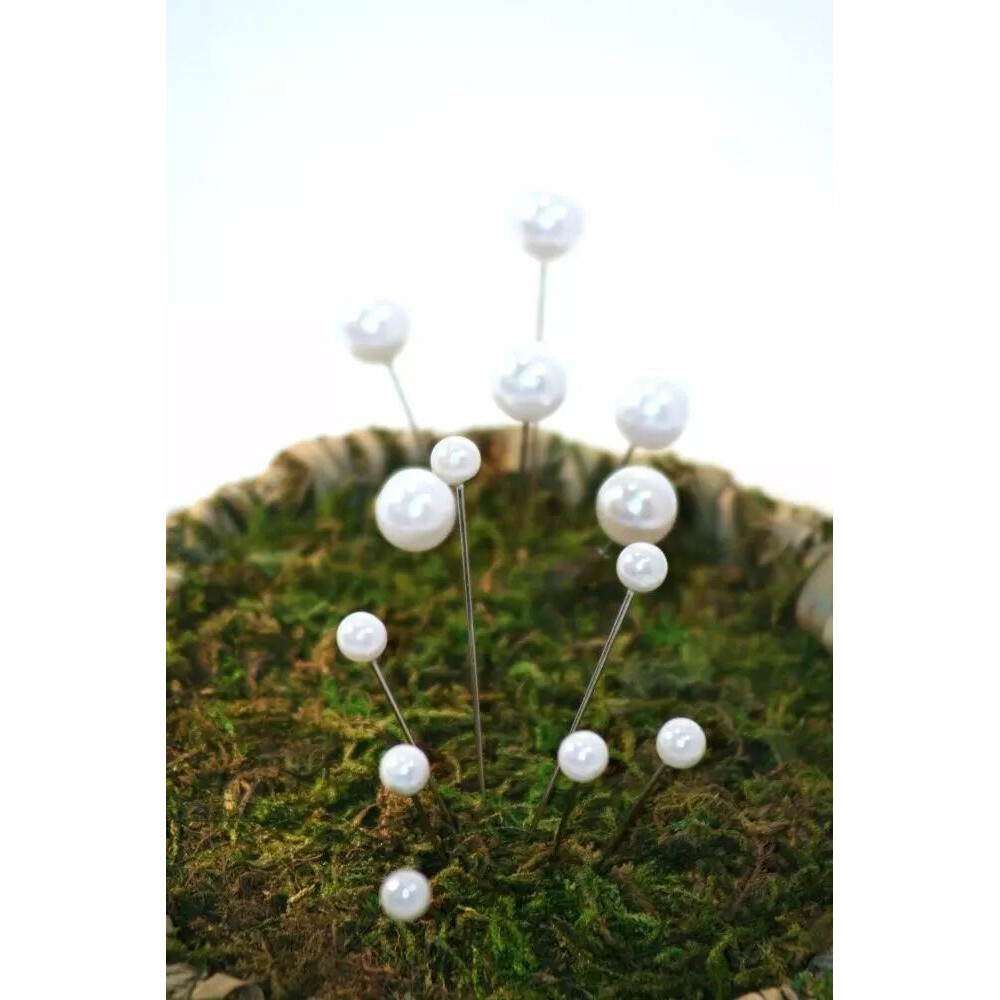 Épingles à tête perle blanche de 10 mm piquées dans la mousse, accessoire de fleuriste pour bouquets et boutonnières