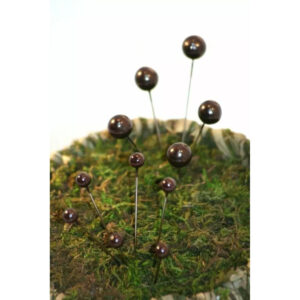 Épingles à tête perle marron de 6 mm piquées dans la mousse, accessoire de fleuriste pour bouquets et boutonnières