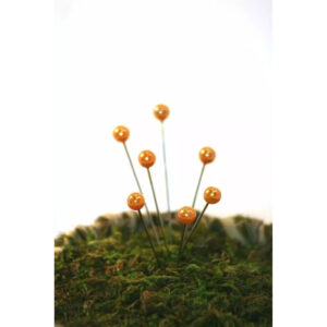 Épingles à tête perle orange de 6 mm piquées dans la mousse, accessoire de fleuriste pour bouquets et boutonnières