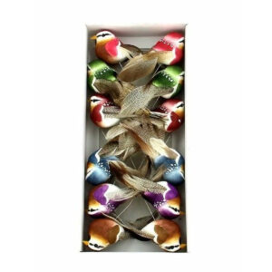 Boîte de 12 oiseaux décoratifs à plumes sur pic en coloris vifs pour compositions florales de printemps