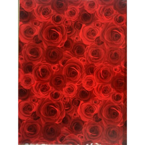Film d'emballage imprimé de roses rouges ombrées de noir pour bouquets bulle de fleuriste