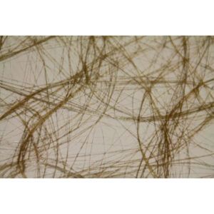 Rouleau de fibre ajourée métallisée or en voile de fils entrecroisés pour habiller les bouquets de Noël