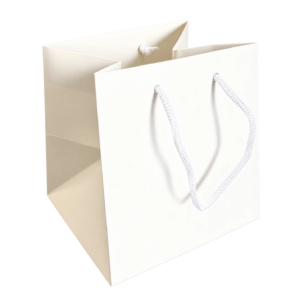 Sac cubique en kraft blanc avec cordelière torsadée pour transport de bouquets et plantes de fleuriste