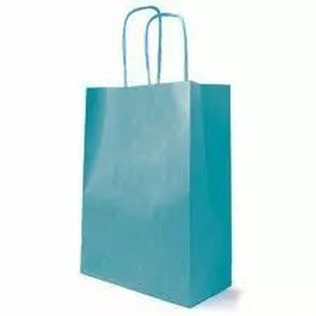 Grand sac en kraft turquoise à anses en papier torsadé pour emporter bouquets et plantes en boutique
