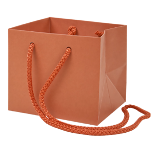 Petit sac cubique en kraft marron glacé avec cordelières tressées assorties pour cadeaux de fleuriste