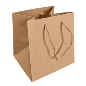 Sac cube en kraft naturel à cordelière torsadée pour transporter compositions et plantes de fleuriste