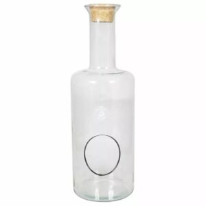 Vivarium bouteille haute en verre transparent avec ouverture ronde et bouchon liège pour décor de fleuriste