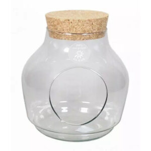 Vivarium rond en verre transparent avec ouverture latérale et bouchon en liège pour terrarium de fleuriste